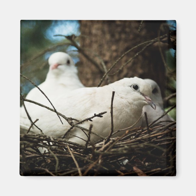 Three in a Tree Magnet (Front)