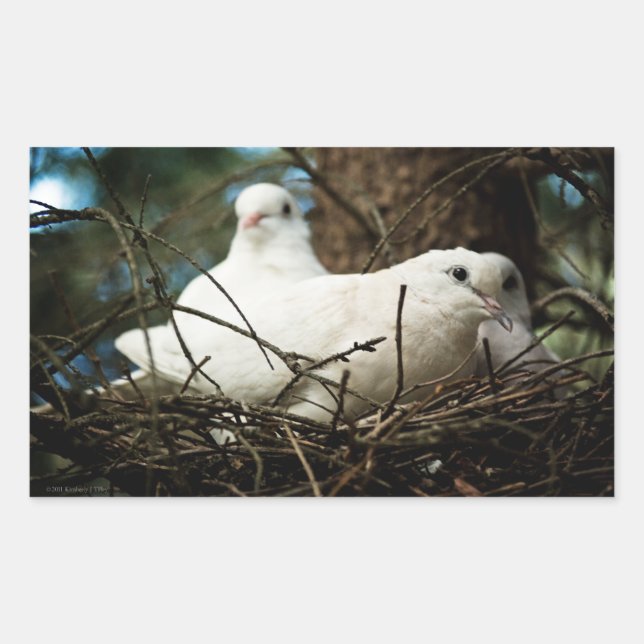 Three in a Tree Rectangular Sticker (Front)