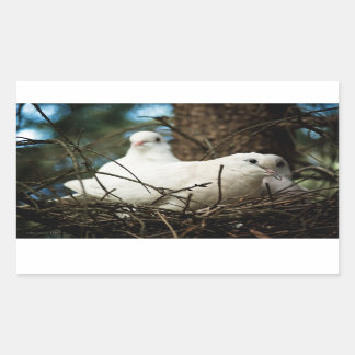 Three in a Tree Rectangular Sticker