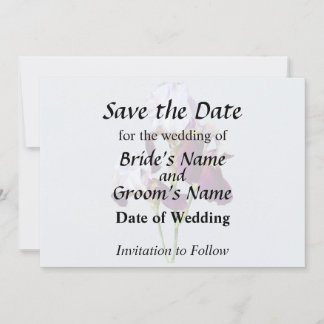 Three Irises in Shades of Magenta Save The Date
