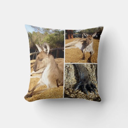 Three Kangaroo Images Collage Cushion