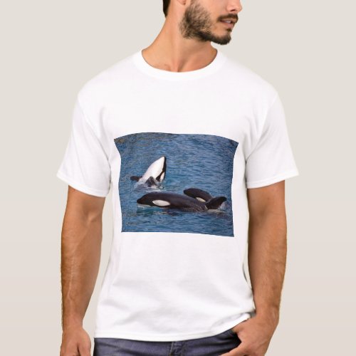 Three killer whales T_Shirt