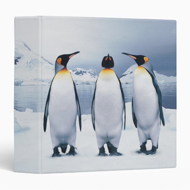 Three King Penguins 3 Ring Binder (Front/Spine)