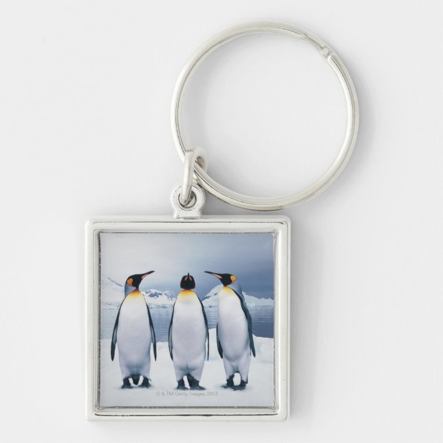 Three King Penguins Keychain (Front)