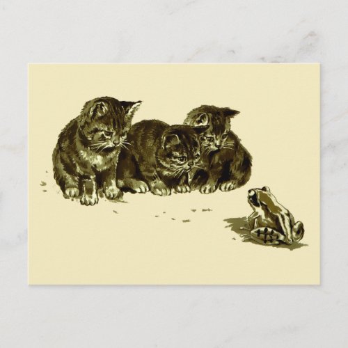 Three Kittens and a Frog Postcard