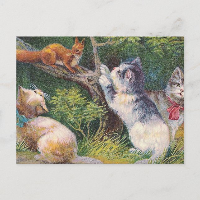 "Three Kittens and a Squirrel" Vintage Postcard (Front)