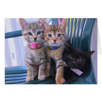 Three kittens card