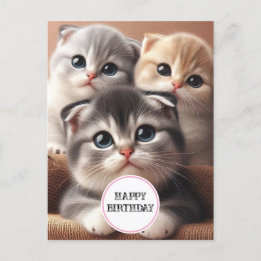 Three Kittens Happy Birthday Postcard