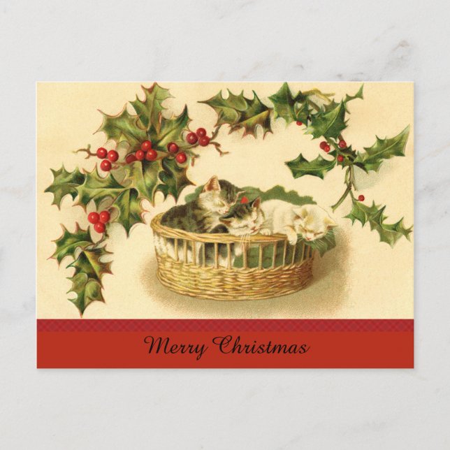 Three Kittens in a Basket Postcard (Front)