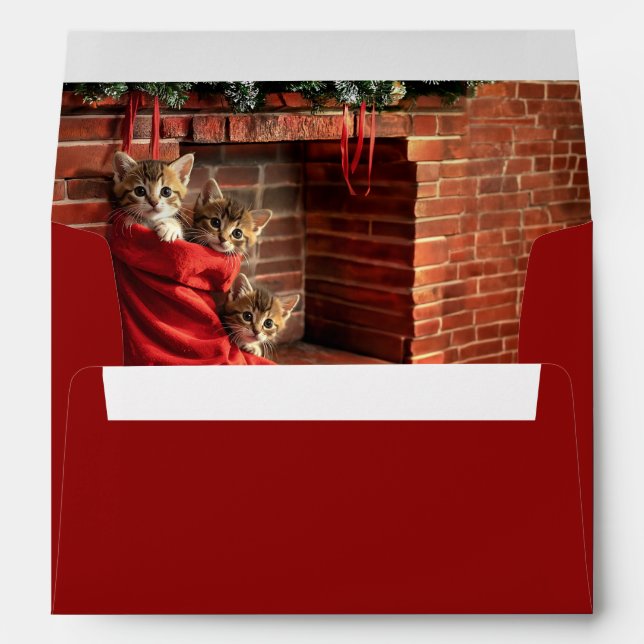 Three kittens in a Christmas Stocking Envelope (Back (Bottom))