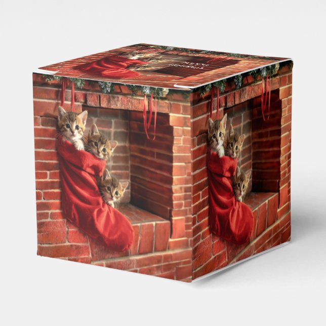 Three kittens in a Christmas Stocking Favor Boxes (Front Side)