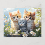 Three Kittens in Garden Daisies Postcard