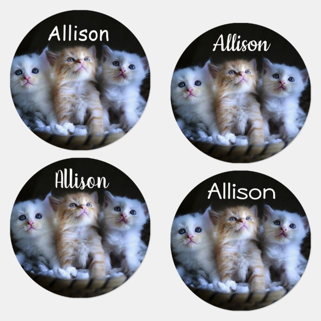 Three Kittens Labels (Group)