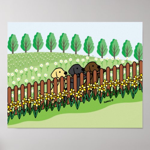 Three Labrador Puppies and Daffodils Poster