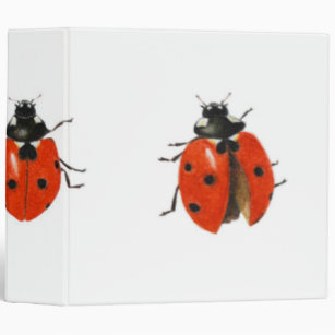 Three ladybirds 2013 binder
