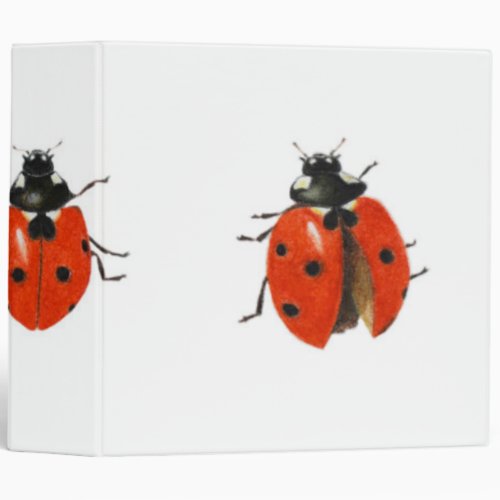 Three ladybirds 2013 binder