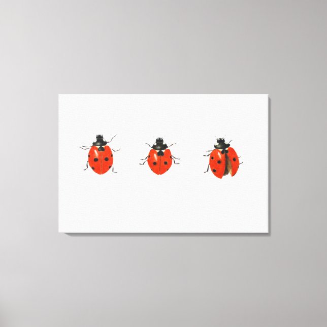 Three ladybirds 2013 canvas print (Front)