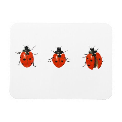 Three ladybirds 2013 magnet