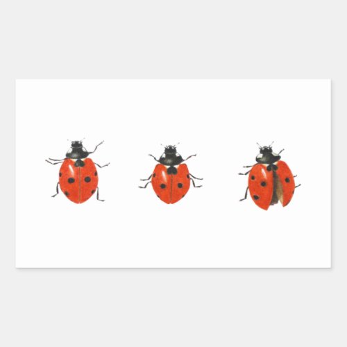 Three ladybirds 2013 rectangular sticker