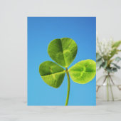 three leaved clover (Standing Front)