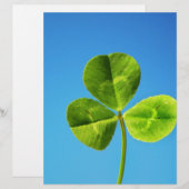three leaved clover (Front/Back)