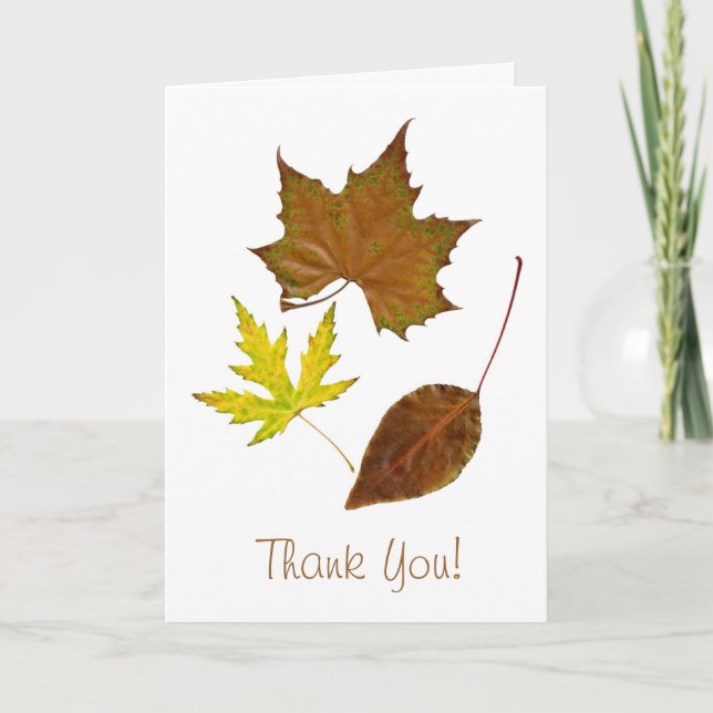 Three Leaves Template Greeting (Front)
