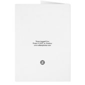 Three Legged Cow 5x7 (Back)