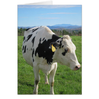 Three Legged Cow 5x7