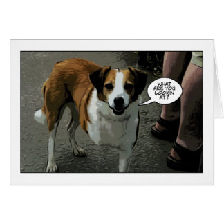three legged dog cards
