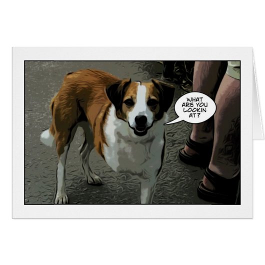three legged dog cards (Front Horizontal)