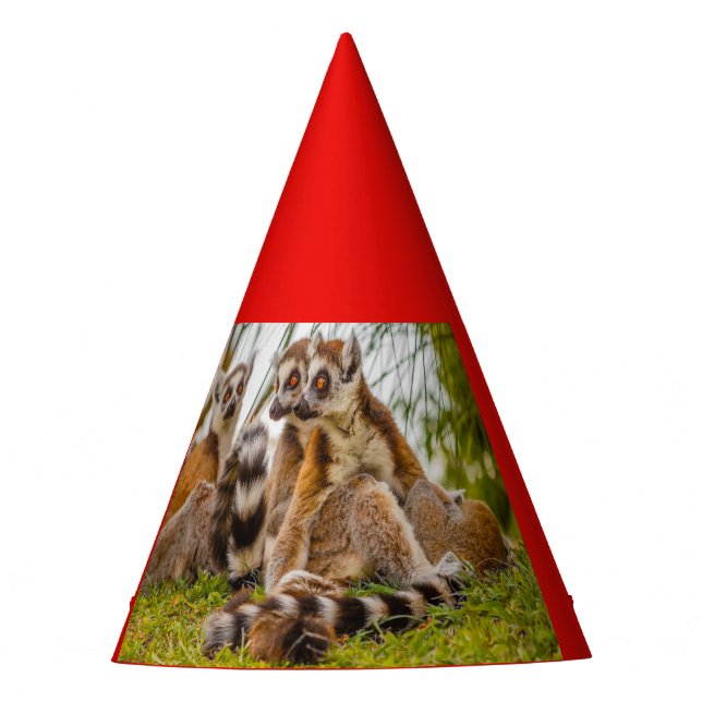 three  lemurs on Party Hat (Front)