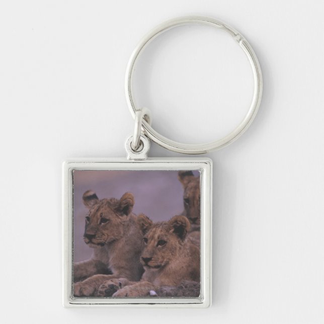 Three Lion Cubs Keychain (Front)