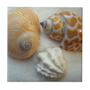 Three Little Beach Shells Ceramic Tile
