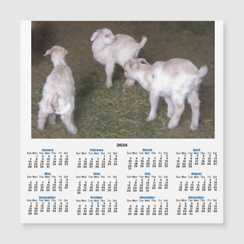 Three Little Goat Kids 2024 Calendar Card