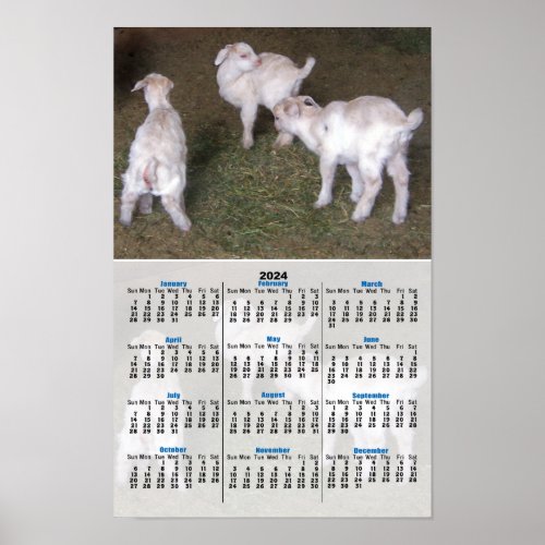 Three Little Goat Kids 2024 Calendar Poster