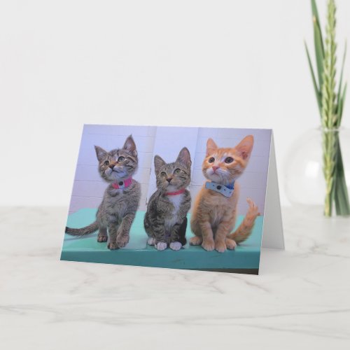 Three Little Kittens Card