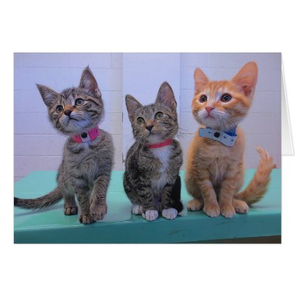 Three Little Kittens Card