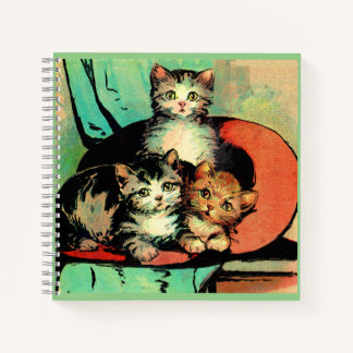 three little kittens notebook