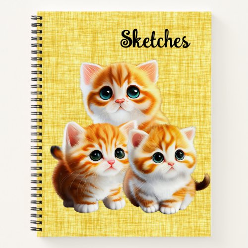 Three Little Kittens  Notebook