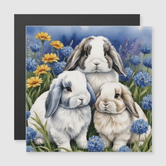 Three Little Lop Bunny Rabbits (Front/Back)