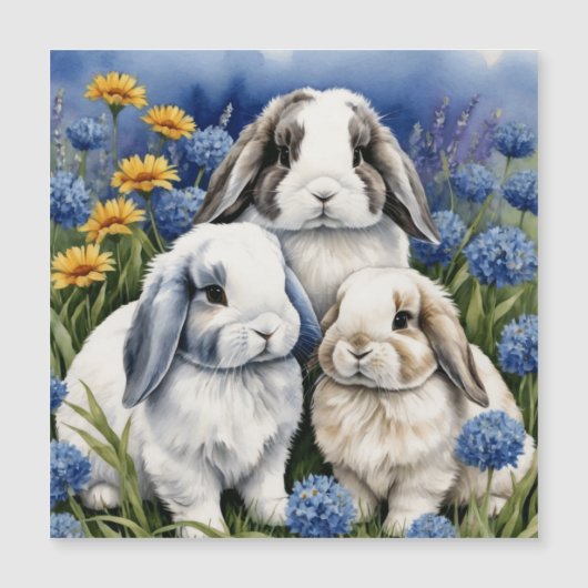 Three Little Lop Bunny Rabbits (Front)