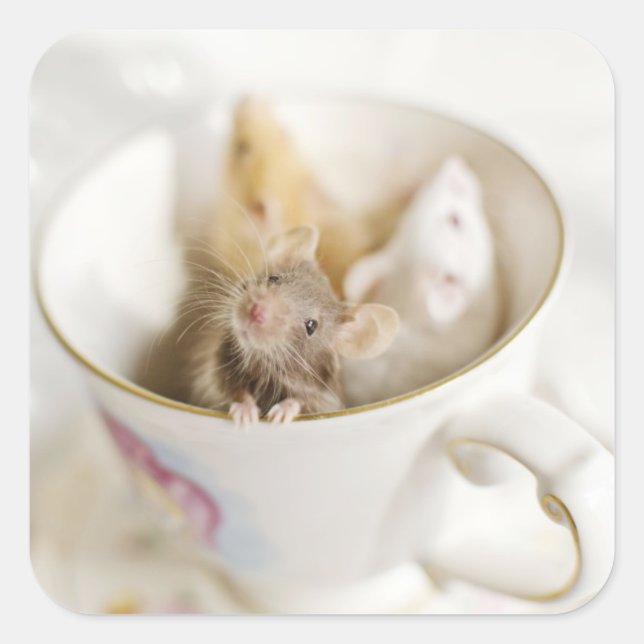 Three Little Mice Square Sticker (Front)