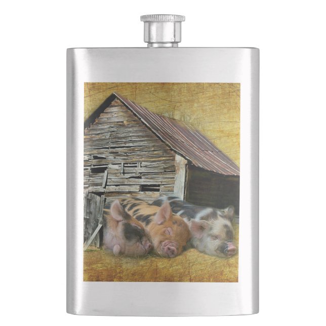 Three Little Pigs At The Rustic Barn Snoozing Flask (Front)