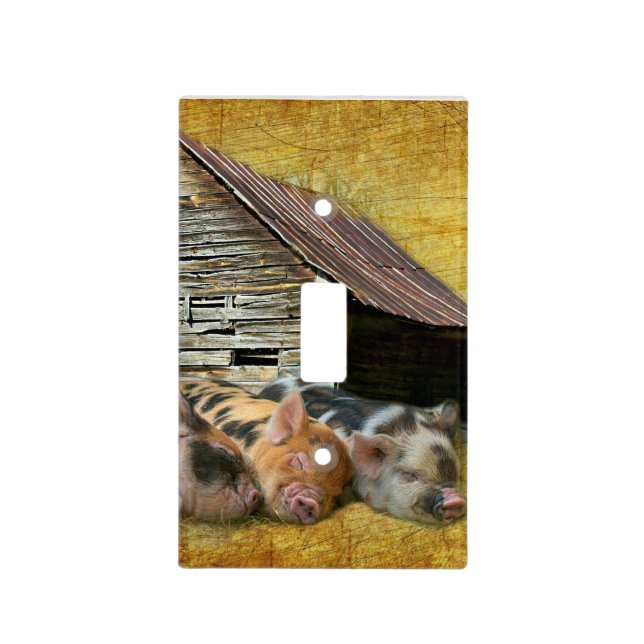 Three Little Pigs At The Rustic Barn Snoozing Light Switch Cover (Front)