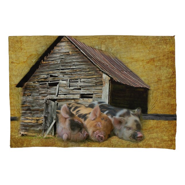Three Little Pigs At The Rustic Barn Snoozing Pillow Case (Front)