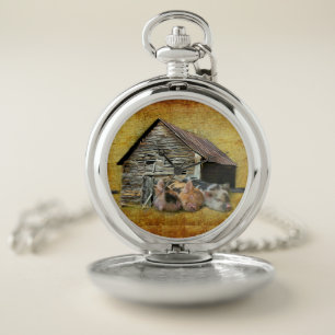 Three Little Pigs At The Rustic Barn Snoozing Pocket Watch