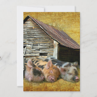 Three Little Pigs At The Rustic Barn Snoozing Thank You Card