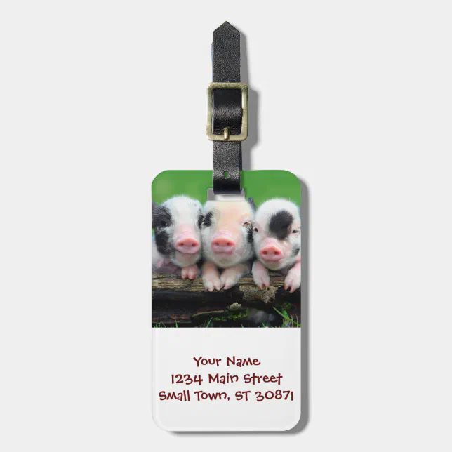 Three little pigs cute pig three pigs luggage tag Zazzle
