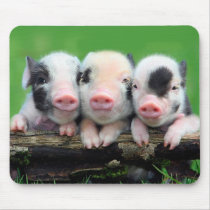 Three little pigs - cute pig - three pigs mouse pad