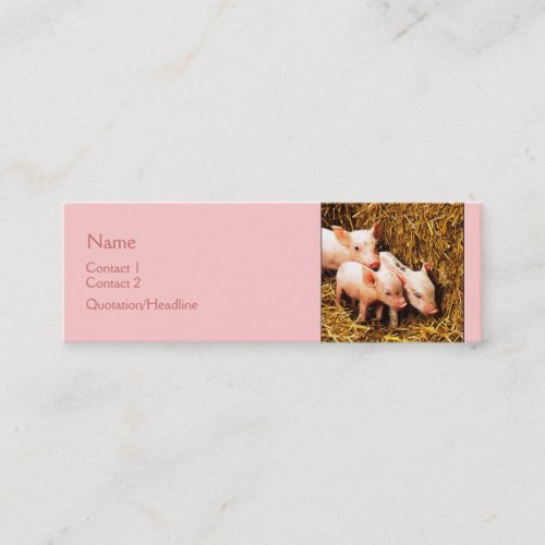Three Little Pigs Business Card